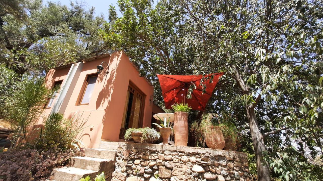 Maroc Lodge